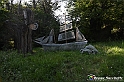 VBS_4857 - Il bosco fatato - Montaldo Roero